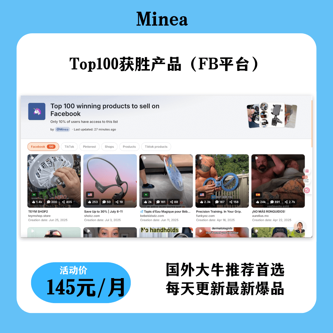 Minea 店铺分析功能
